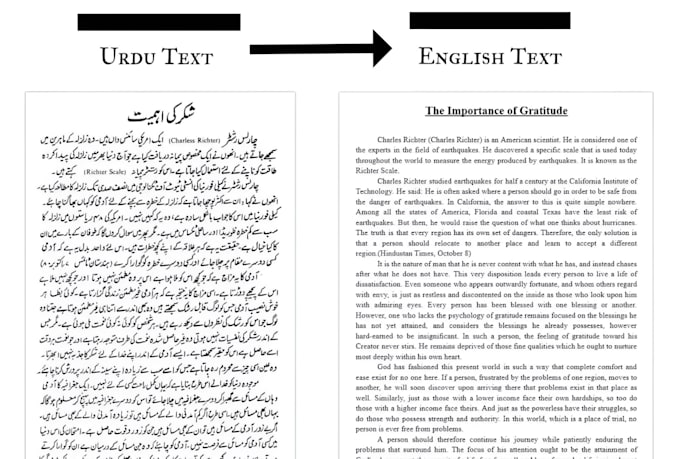 be native urdu translator with proofreading
